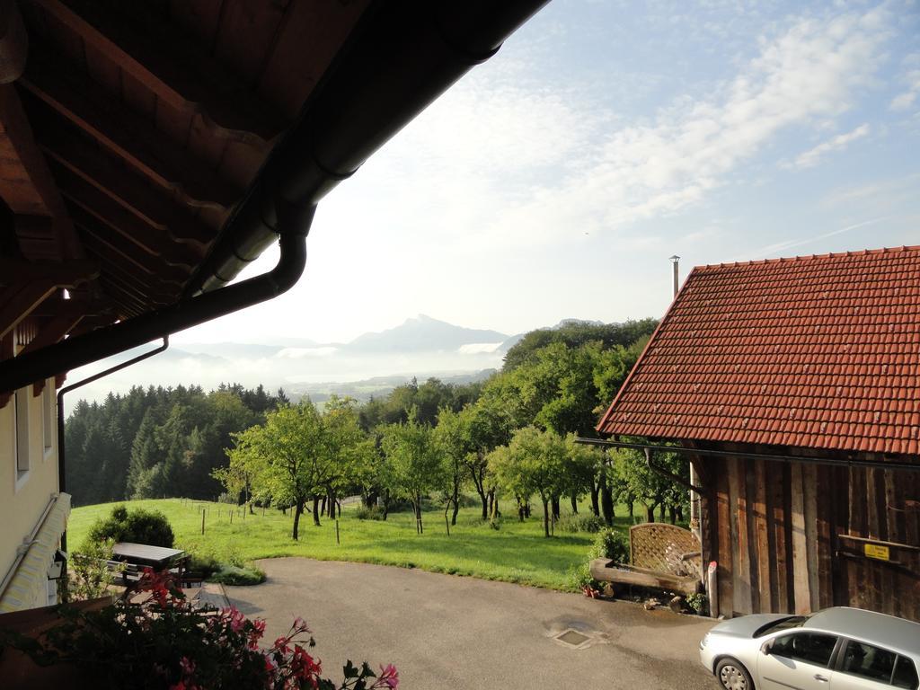 Hochsernerhof Hotel Tiefgraben Habitación foto
